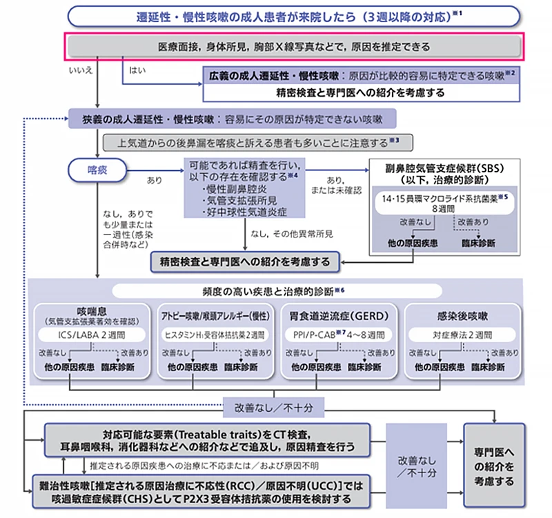 成人遷延性・慢性咳嗽への対応フロー